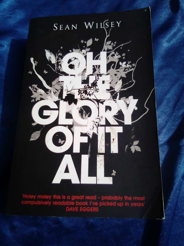 `Oh The Glory of it all"  Sean Wilsey.  Soft cover.