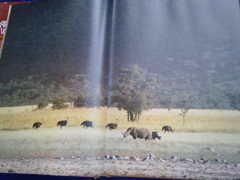 `Portraits of the Wild"  Southern Africa.  Gerald Cubitt l Hard cover.
