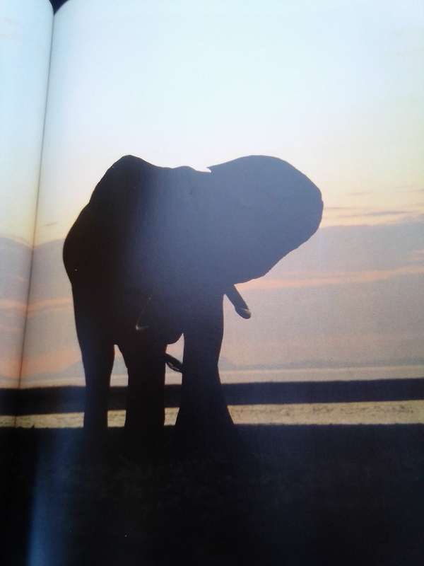 `Portraits of the Wild"  Southern Africa.  Gerald Cubitt l Hard cover.