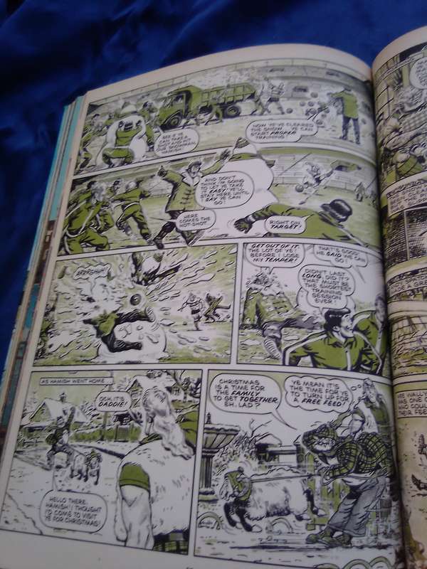 `Tiger"  Annual 1987. Hard cover.