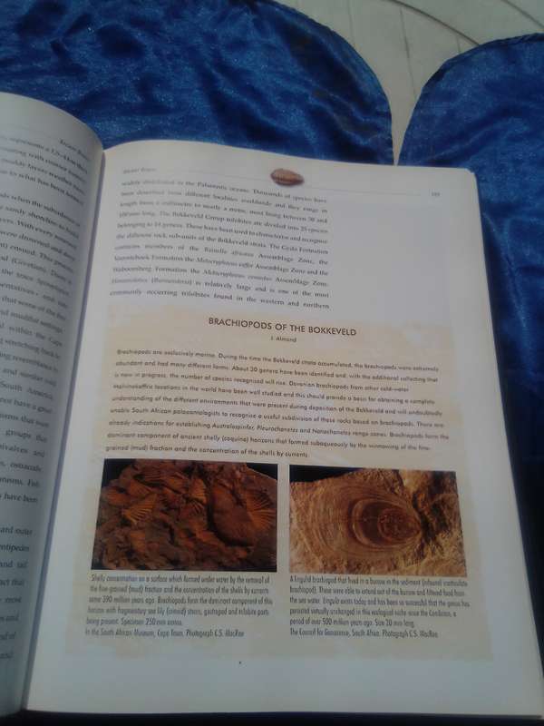 "Life Etched in Stone"  Fossils in South Africa.  Hard cover.