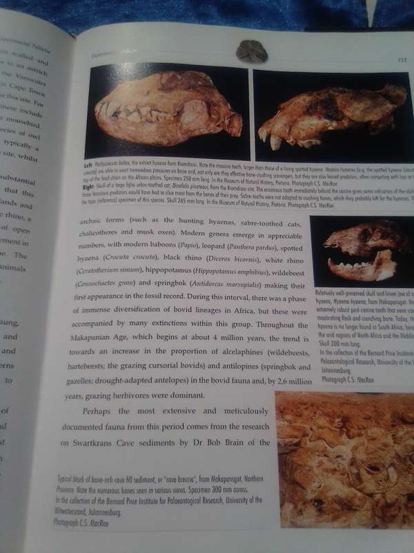 "Life Etched in Stone"  Fossils in South Africa.  Hard cover.