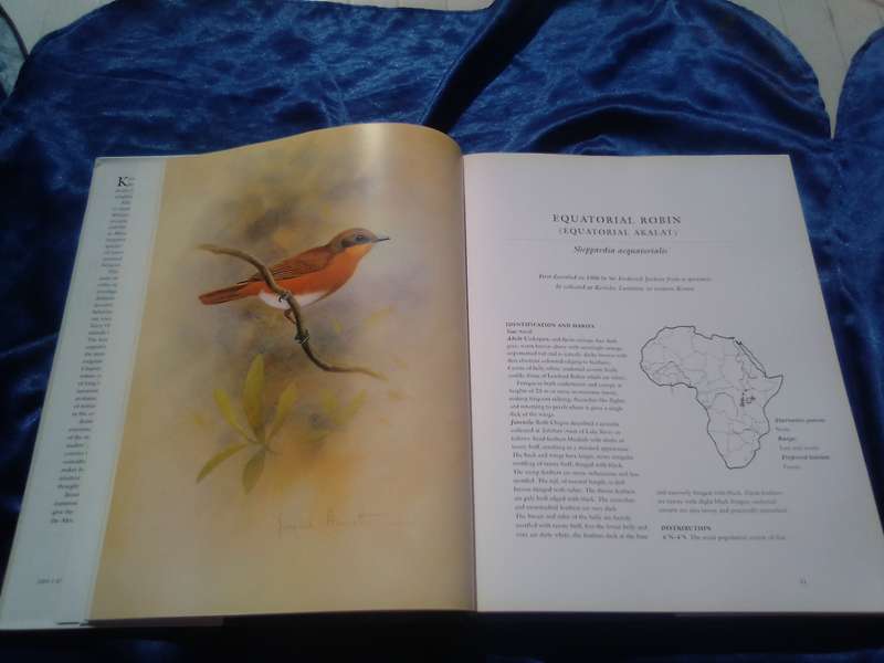 "Robins of Africa"  Hard cover.
