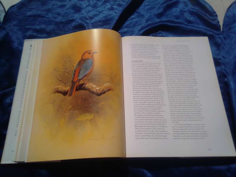 "Robins of Africa"  Hard cover.