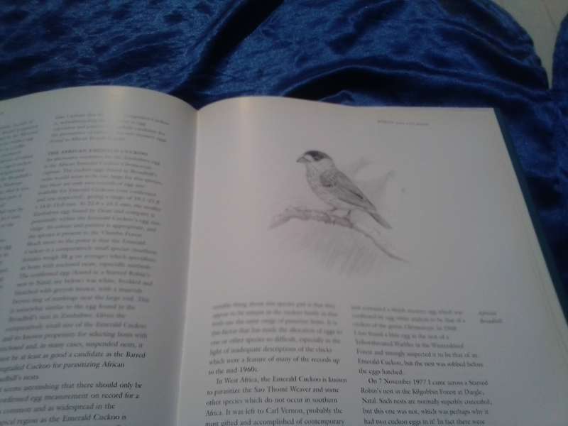 "Robins of Africa"  Hard cover.