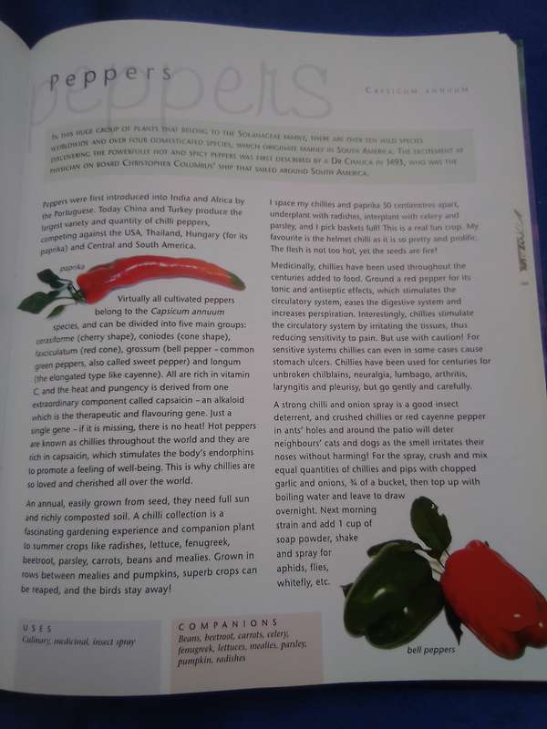 "Companion Planting" Margaret Roberts.  Soft cover.