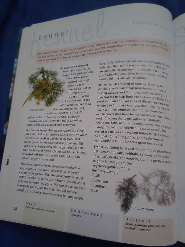 "Companion Planting" Margaret Roberts.  Soft cover.