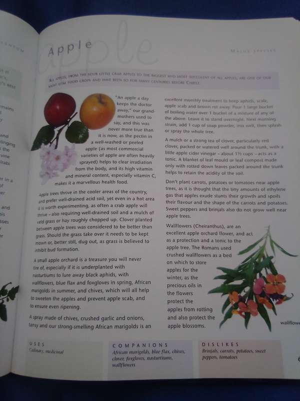 "Companion Planting" Margaret Roberts.  Soft cover.
