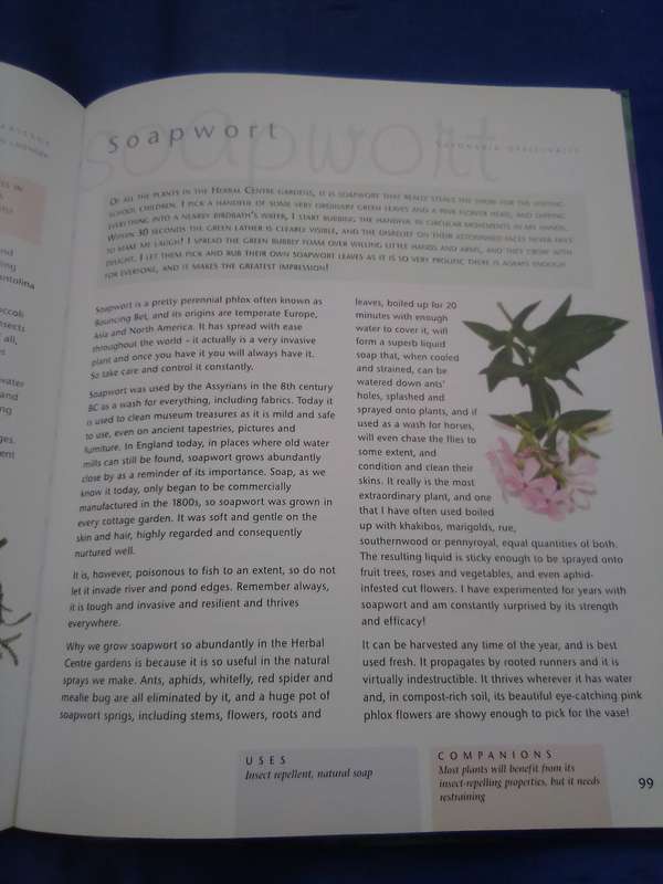 "Companion Planting" Margaret Roberts.  Soft cover.