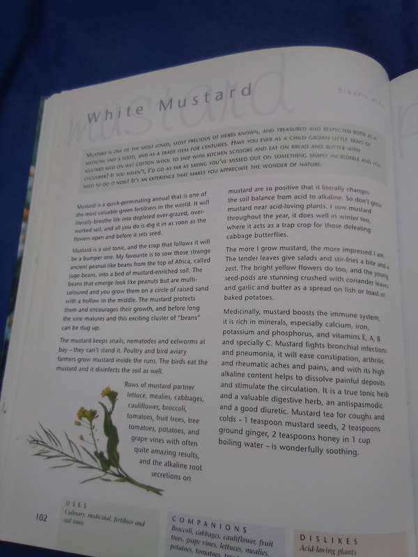 "Companion Planting" Margaret Roberts.  Soft cover.