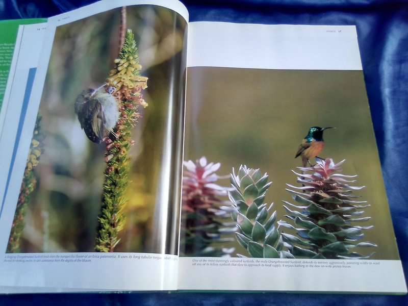 "Southern African Birds"  Reader's Digest Spectacular World of  Hard cover.