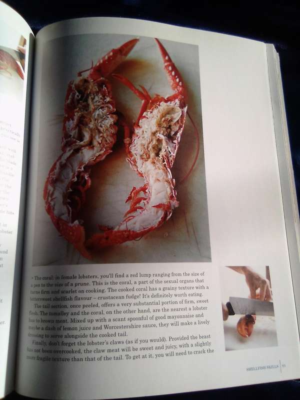 "The River Cottage Fish Book"  Soft cover.