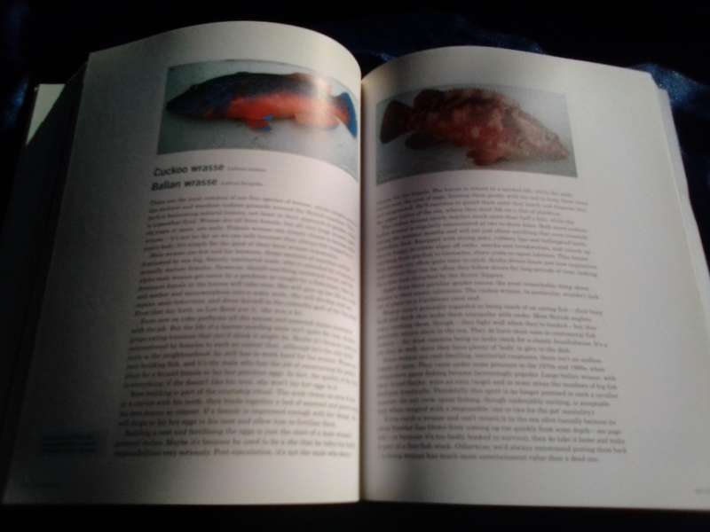 "The River Cottage Fish Book"  Soft cover.
