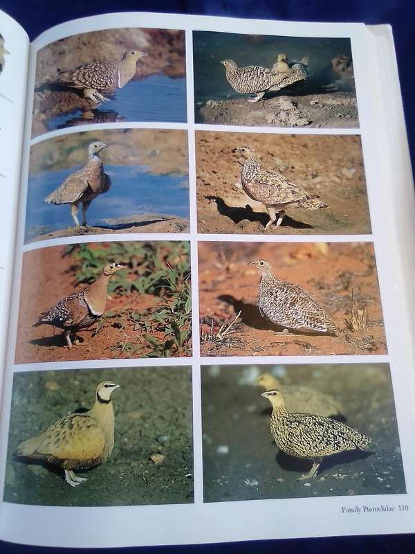 "Southern African Birds"   A Photographic Guide.