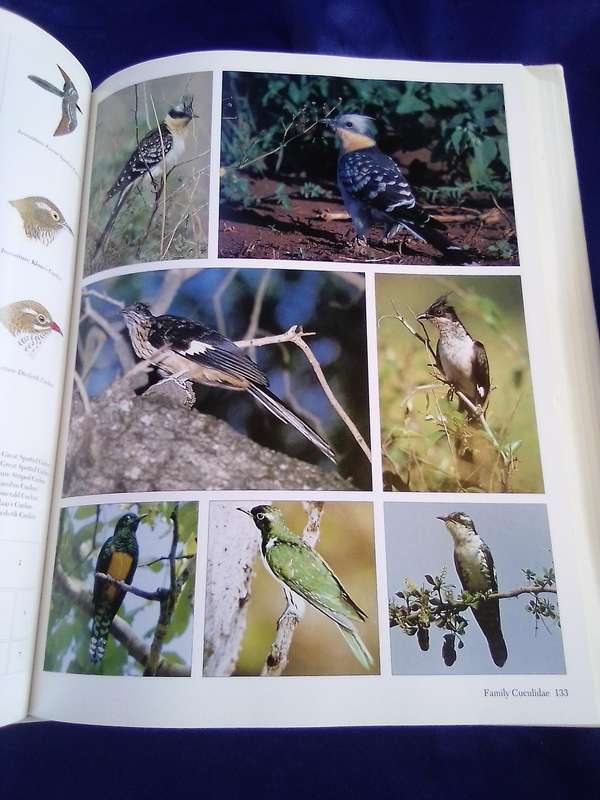 "Southern African Birds"   A Photographic Guide.