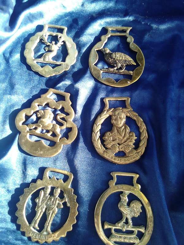 Horse Brass.  Joblot.
