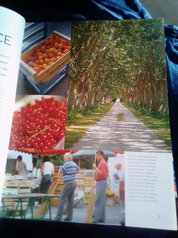 "The Food of France" Hard cover.