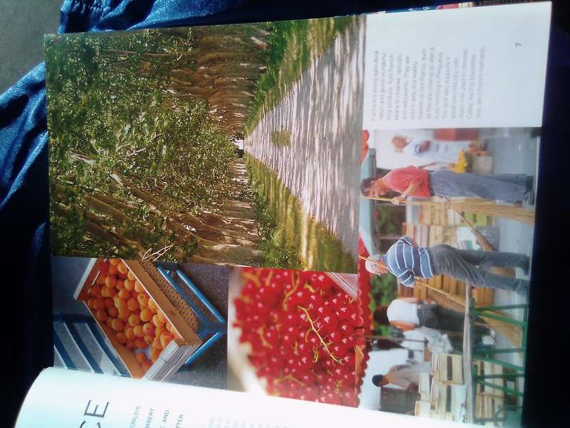 "The Food of France" Hard cover.