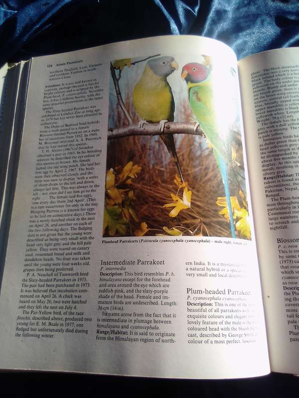 " Parrots  Their care and Breeding"  Hard cover.