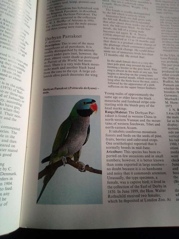 " Parrots  Their care and Breeding"  Hard cover.