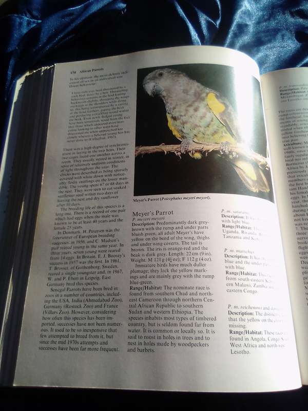 " Parrots  Their care and Breeding"  Hard cover.