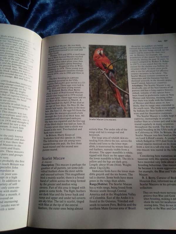 " Parrots  Their care and Breeding"  Hard cover.