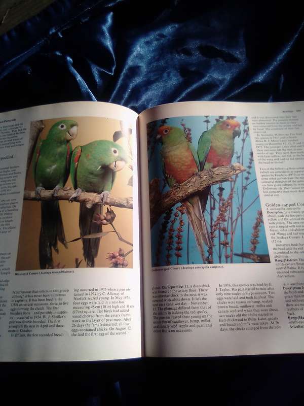 " Parrots  Their care and Breeding"  Hard cover.