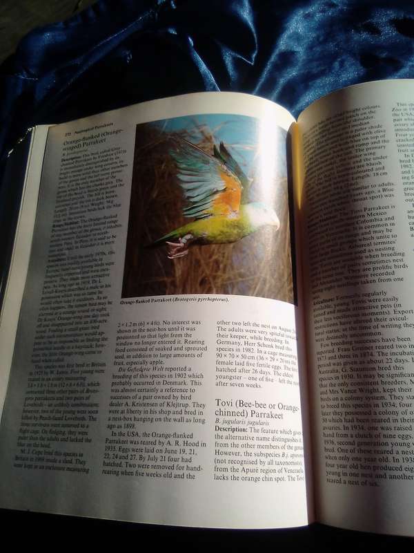 " Parrots  Their care and Breeding"  Hard cover.