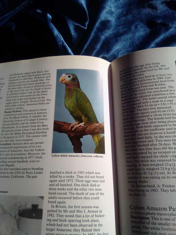 " Parrots  Their care and Breeding"  Hard cover.
