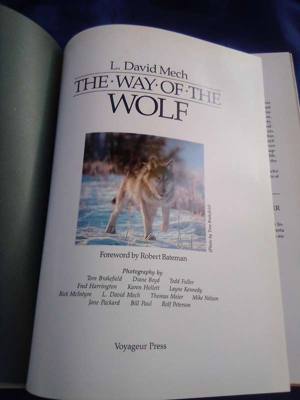 "The Way of the Fox" Hard cover.