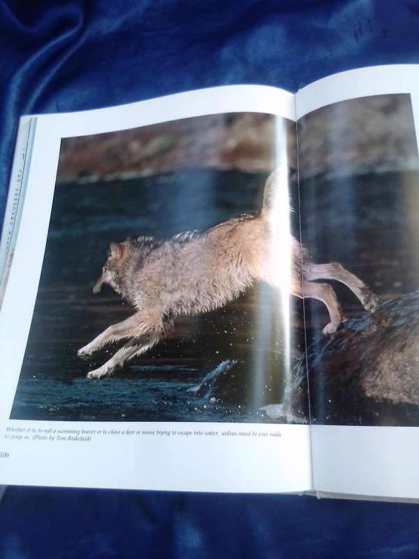 "The Way of the Fox" Hard cover.