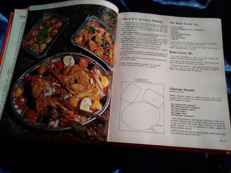 "Indian Delights"  Hard cover.
