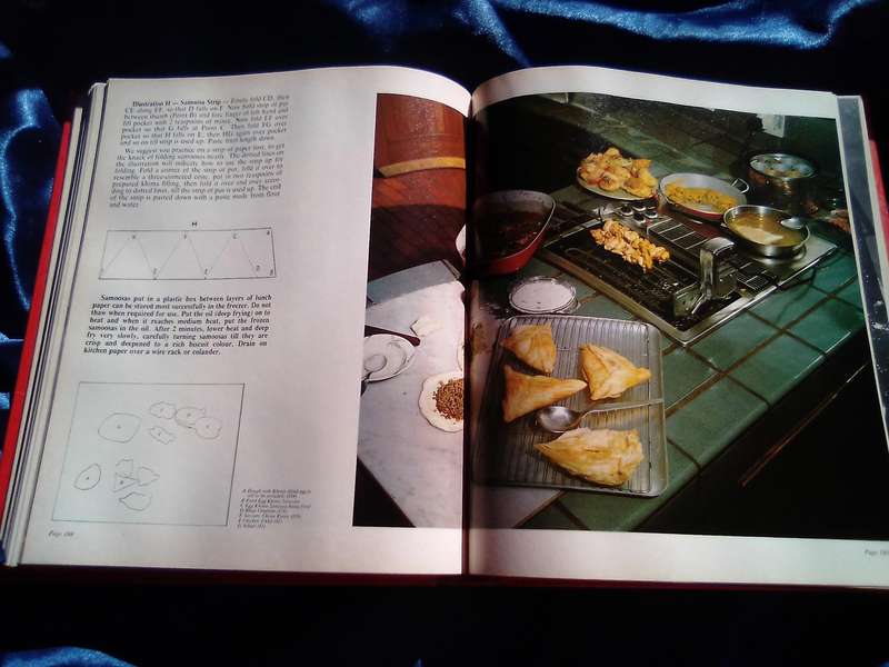 "Indian Delights"  Hard cover.