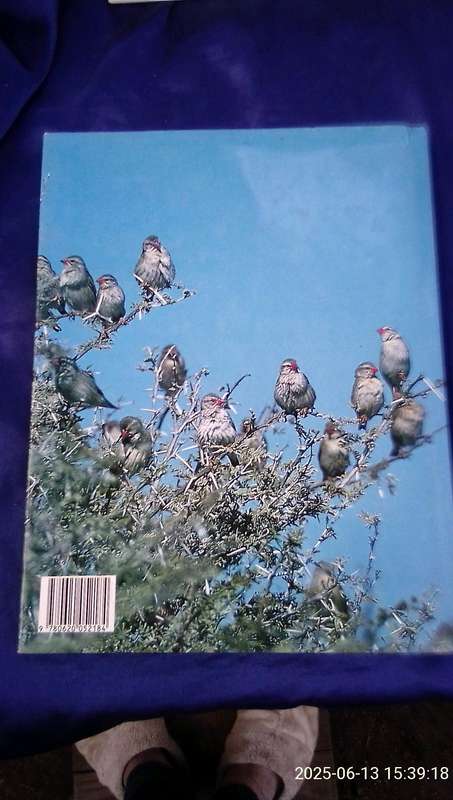 "Everyone's Guide to South African Birds"  Hard cover.