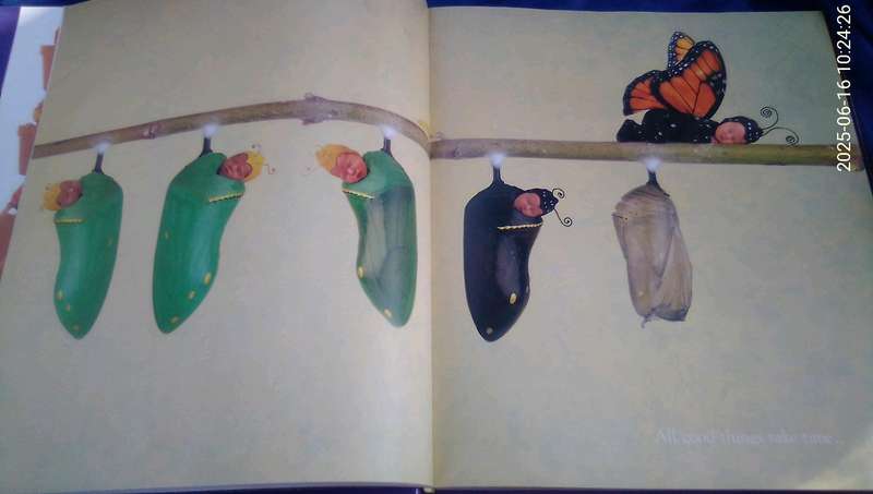 "Down in the Garden"  Añne Geddes.  Hard cover.