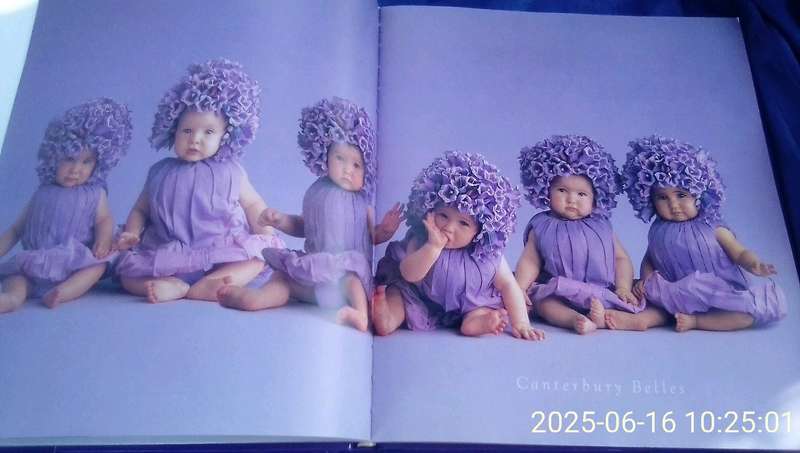 "Down in the Garden"  Añne Geddes.  Hard cover.