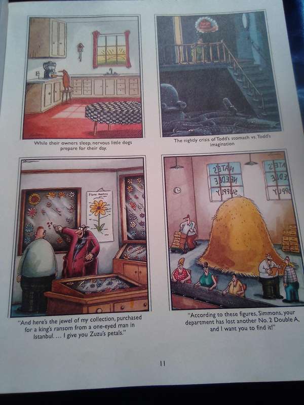 "The Far Side Gallery 5". Soft cover.