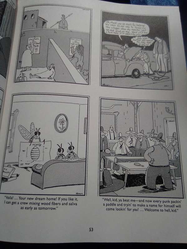 "The Far Side Gallery 5". Soft cover.