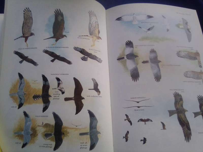 "Sasol Birds of South Africa"  Hard cover.