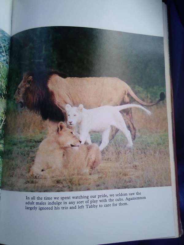`The White Lions of Timbavati`  Chris McBride.  Hard cover.