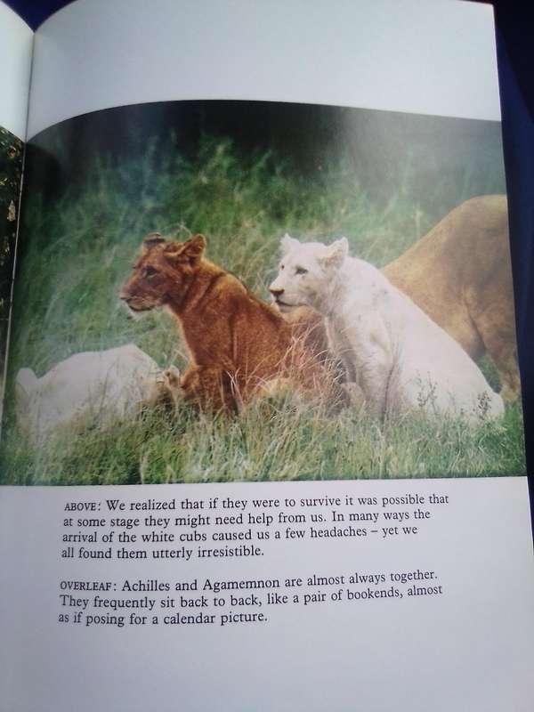 `The White Lions of Timbavati`  Chris McBride.  Hard cover.