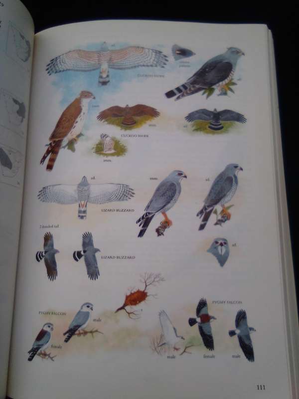 "Sasol Birds of South Africa" soft cover.