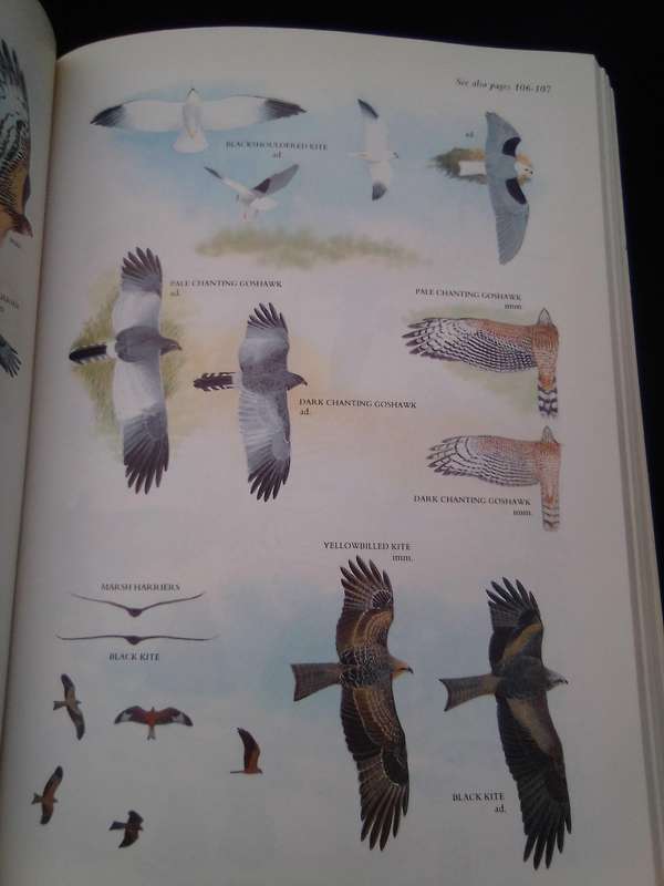 "Sasol Birds of South Africa" soft cover.