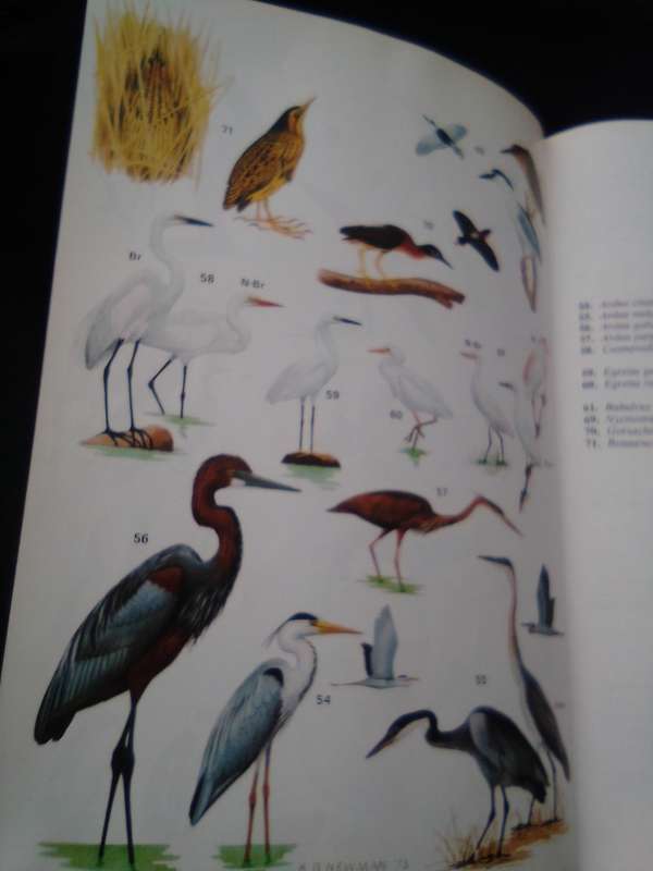 1978. "Roberts Birds of South Africa" Hard cover.