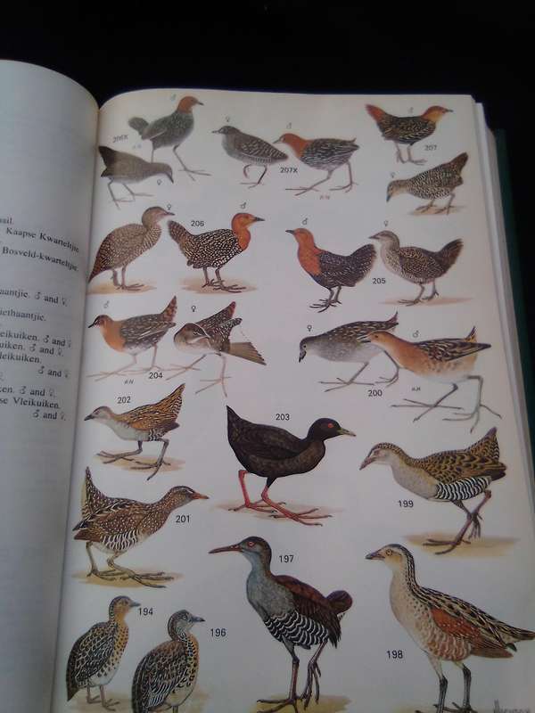 1978. "Roberts Birds of South Africa" Hard cover.