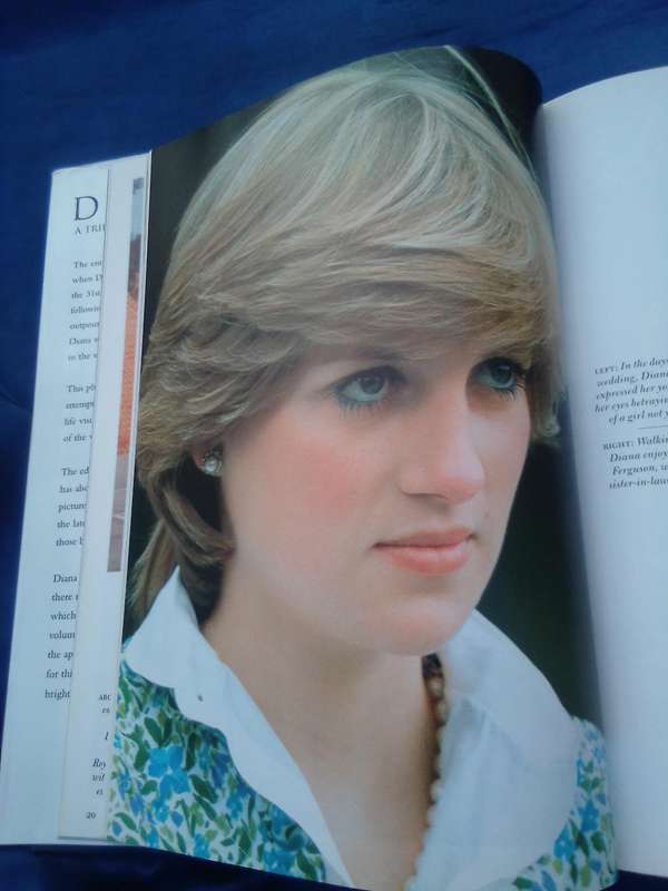 "Diana Princess of Wales"  Hard cover.