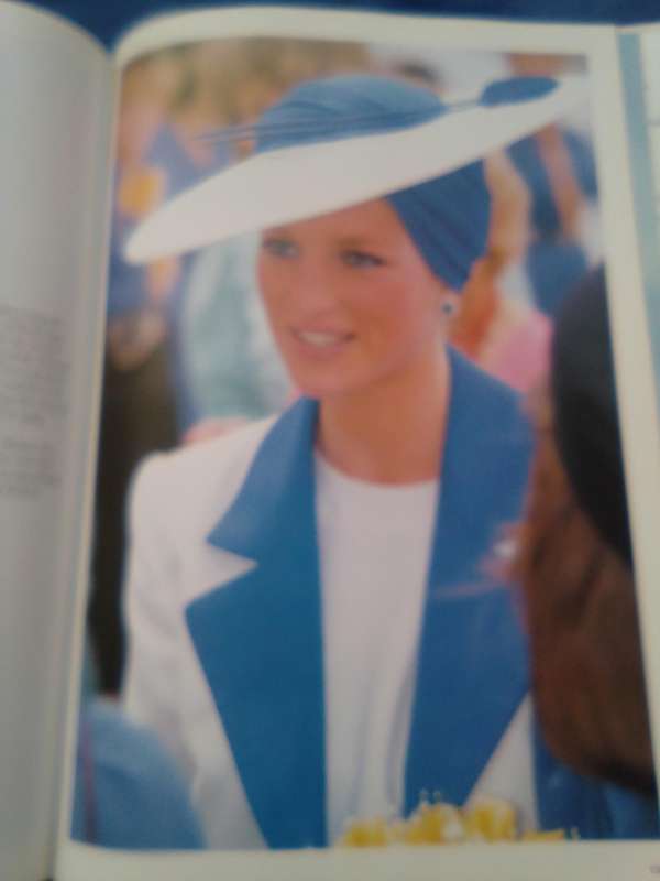 "Diana Princess of Wales"  Hard cover.