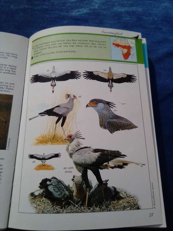 "Sasol Birds of Prey" soft cover.