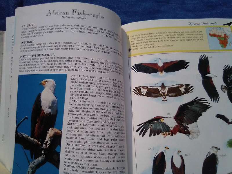 "Sasol Birds of Prey" soft cover.