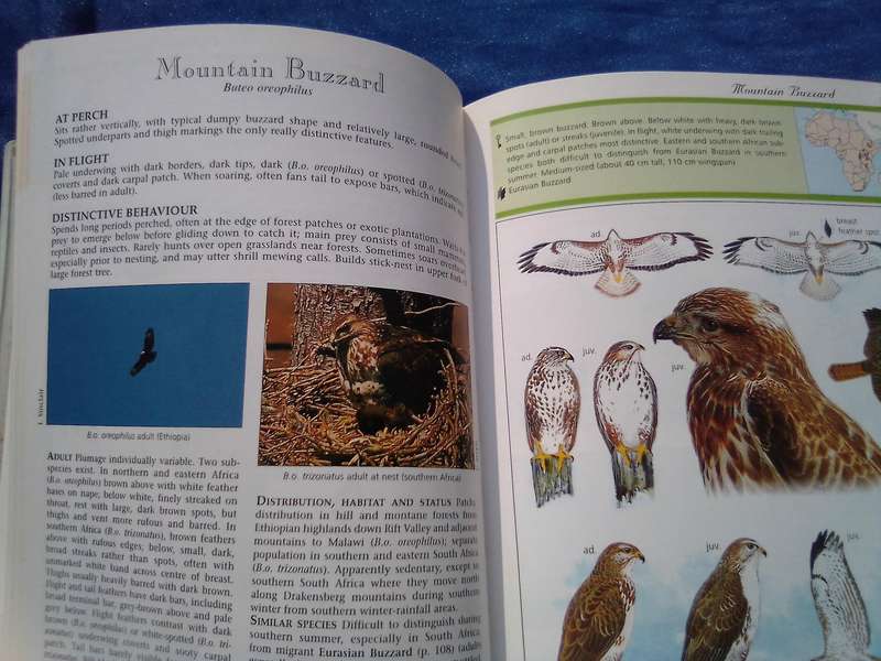 "Sasol Birds of Prey" soft cover.